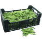 FEVE DE MARAIS 5KG